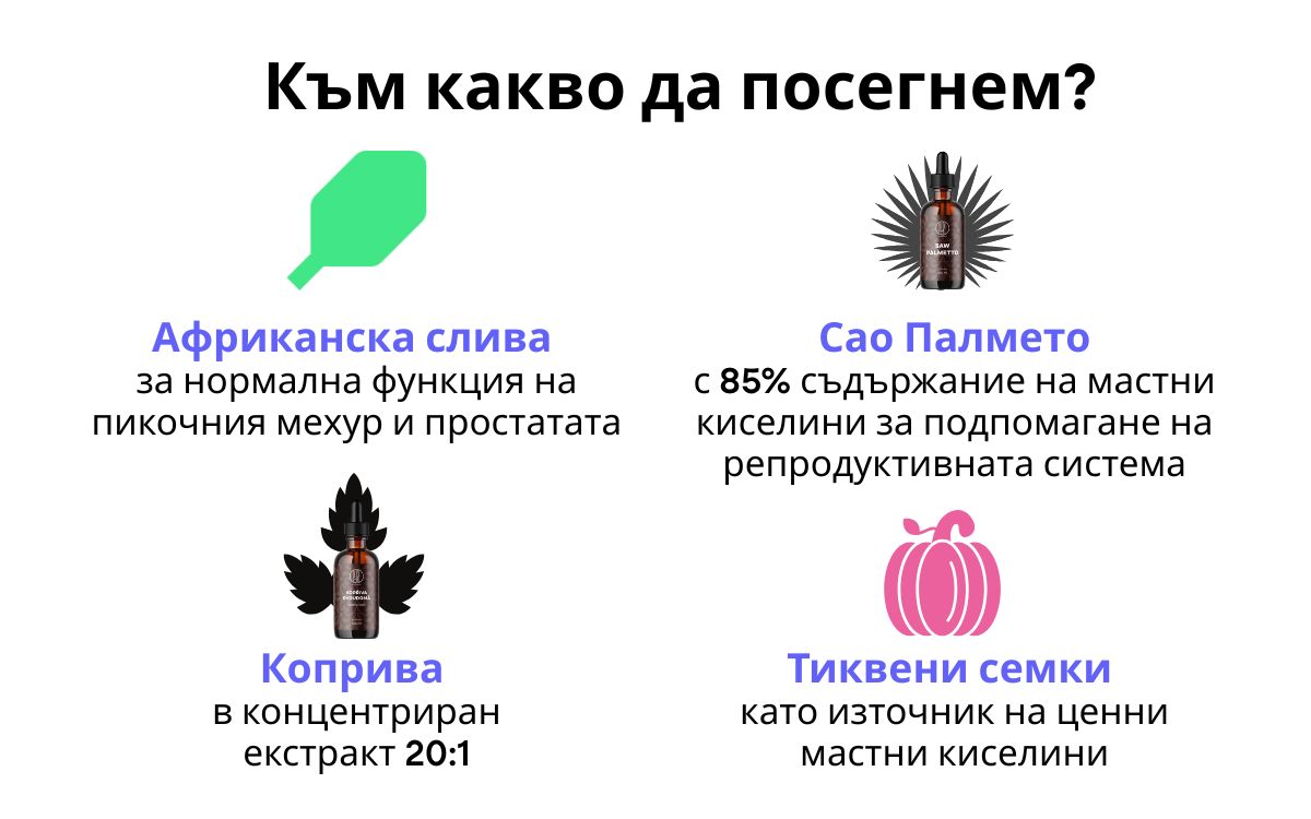 (Bulharština) (Slovenčina)